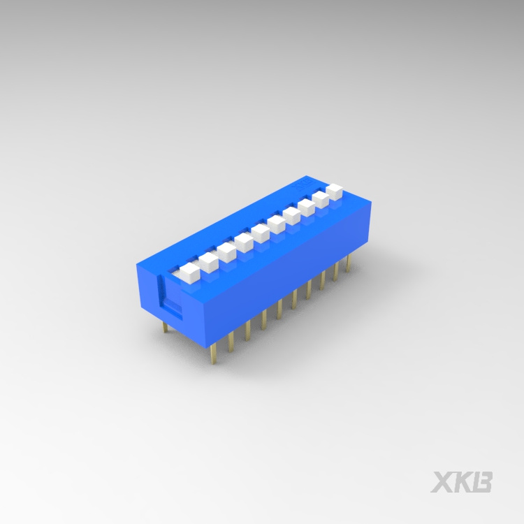 DS-10BLP_拨码开关
