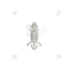 CBDLS625A_其它