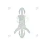 CBLS330A_其它