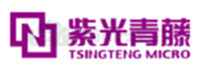 元器件制造商紫光青藤主营业务