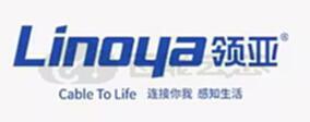 元器件制造商LINOYA(领亚)主营业务
