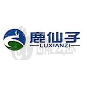 元器件制造商LUXIANZI/鹿仙子主营业务