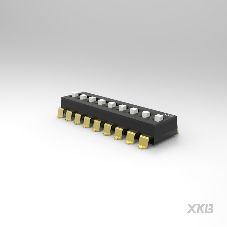 DSIC09LS-P_拨码开关
