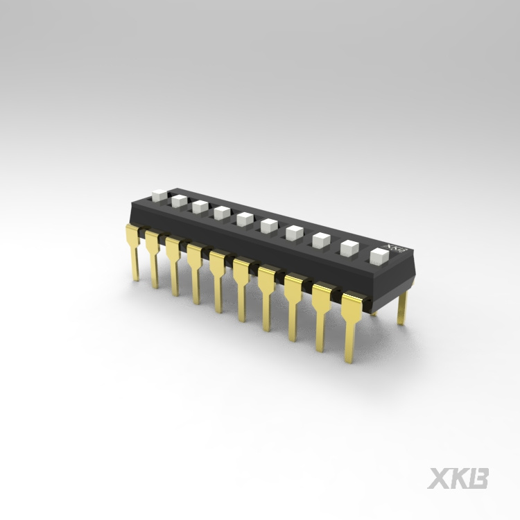 DSIC10LH-P_拨码开关