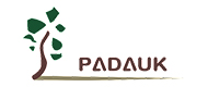 元器件制造商PADAUK(应广)主营业务