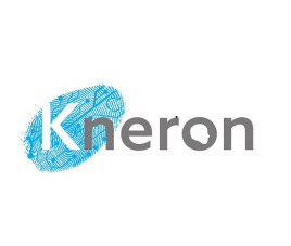 元器件制造商Kneron主营业务