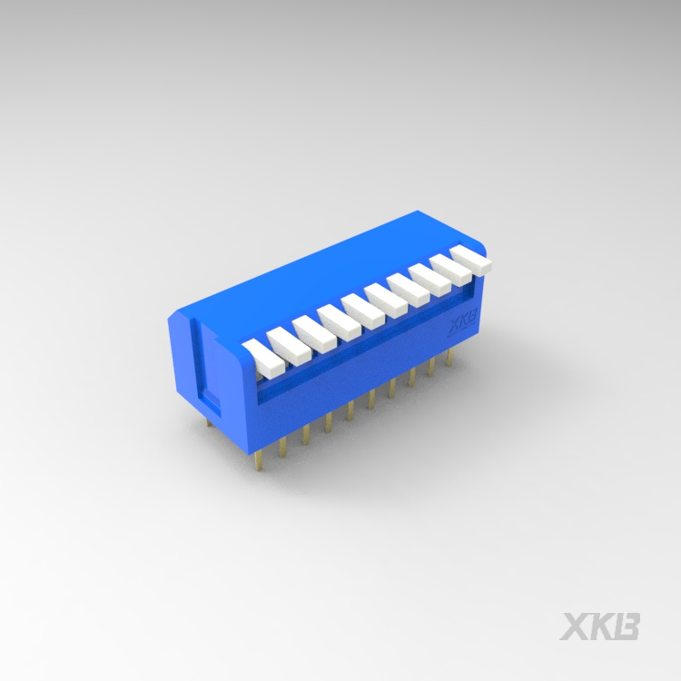 DPL-10BLP_拨码开关