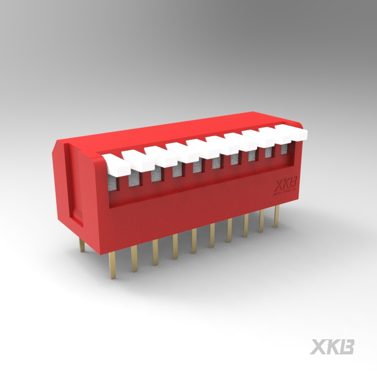 DPL-10RP_拨码开关