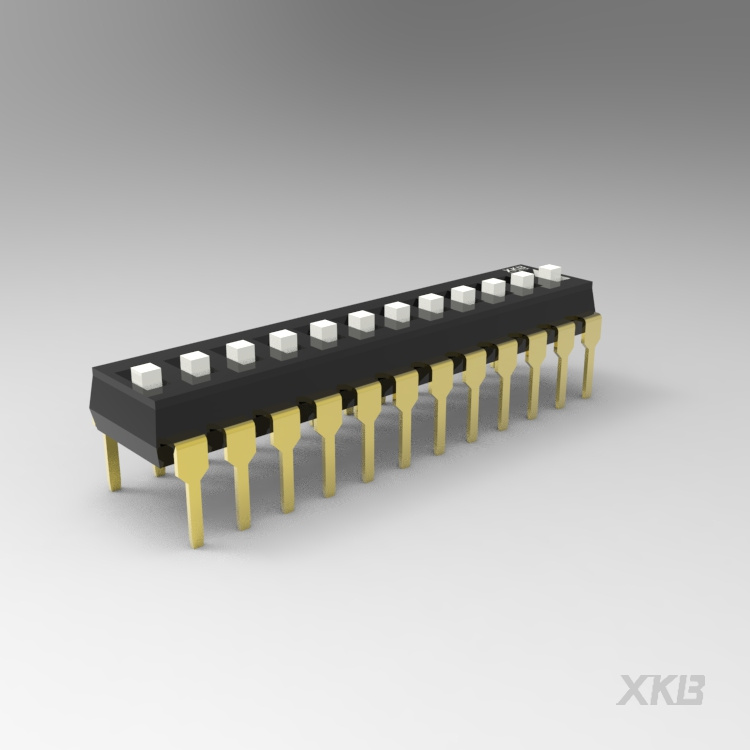 DSIC12LH-P_拨码开关