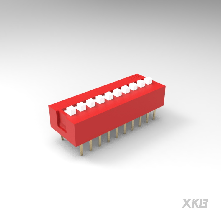 DS-10RP_拨码开关