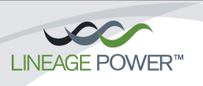 元器件制造商LINEAGE主营业务