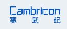 元器件制造商Cambricon主营业务